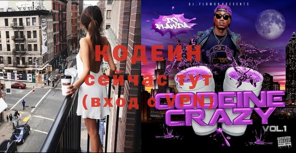 ГАЛЛЮЦИНОГЕННЫЕ ГРИБЫ Инта